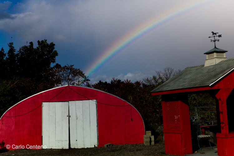 12 Fall Foliage-1001276