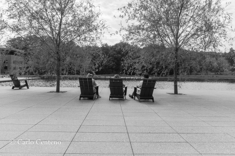 14 Clarke-BW-1004065