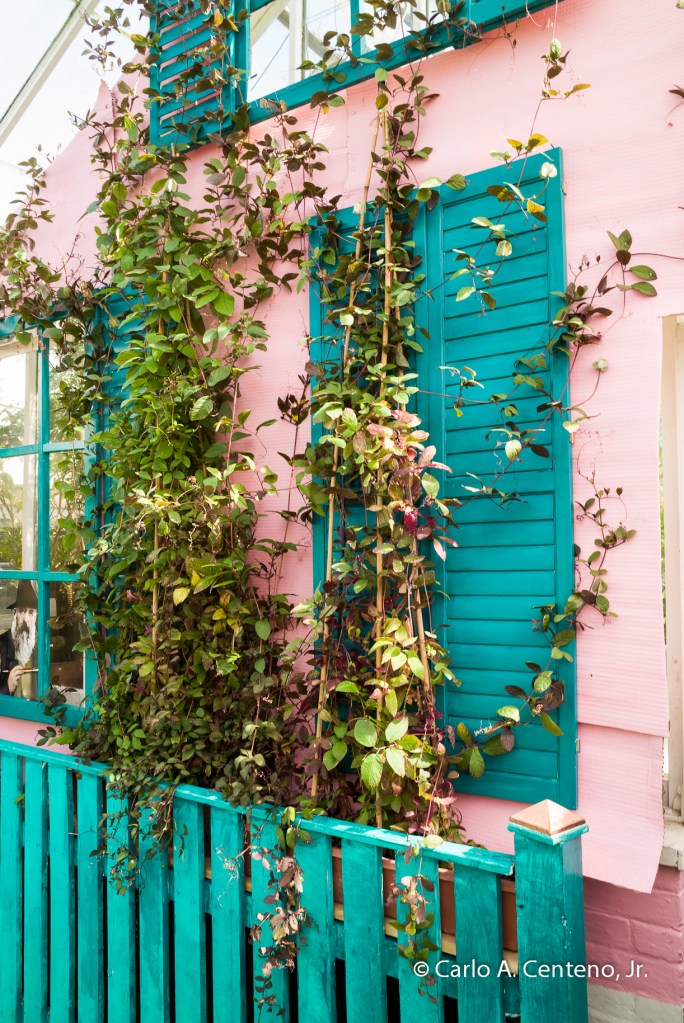 15 Smith College Flower Show-1004795