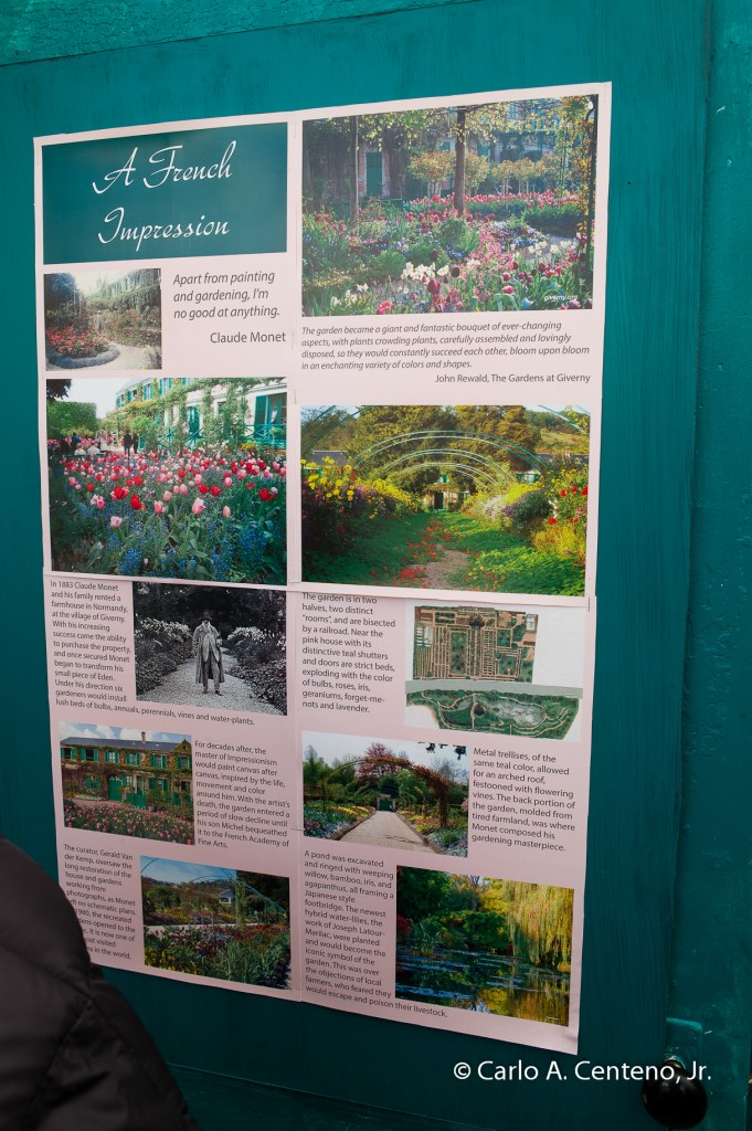 15 Smith College Flower Show-1004798