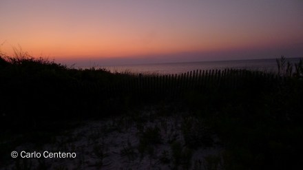 15 Sandwich MA-1020683