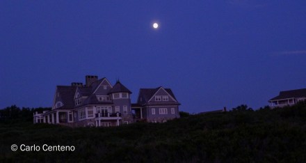 15 Sandwich MA-1020684