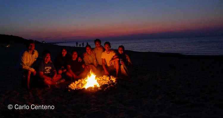 15 Sandwich MA-1020688