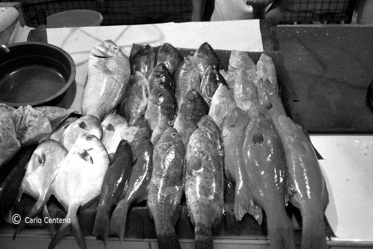 06 BW Fish Market 7-4B 029_27A