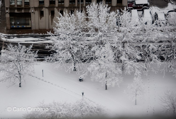 16 Feb Snow Spfld-0323