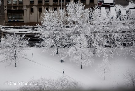 16 Feb Snow Spfld-0323