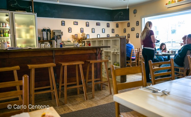 16 Berkshires-1006590