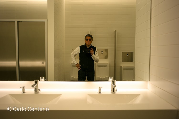 16 Carlo-Berkshires-1006612