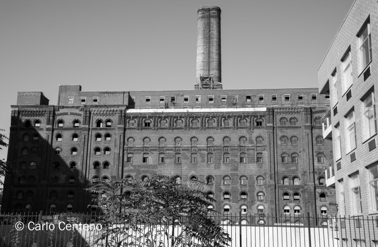 16-brooklyn-urban-phootos-1460